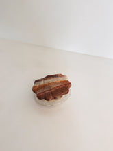 Load image into Gallery viewer, Onyx Shell Box