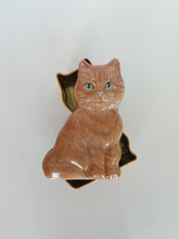 Load image into Gallery viewer, Orange Cat Tin