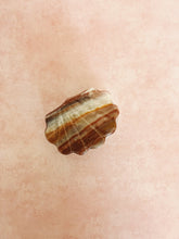 Load image into Gallery viewer, Onyx Shell Box