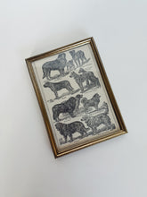 Load image into Gallery viewer, Full Page Framed Dog Lithograph