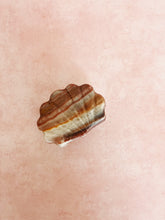 Load image into Gallery viewer, Onyx Shell Box