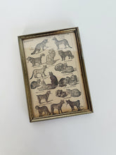 Load image into Gallery viewer, Ornate Frame Cat Lithograph
