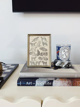 Load image into Gallery viewer, Ornate Frame Cat Lithograph