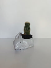 Load image into Gallery viewer, Bunny Planter
