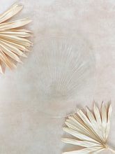 Load image into Gallery viewer, Glass Plate with Shell Insert