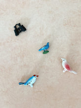 Load image into Gallery viewer, Bird Watching Magnet Set