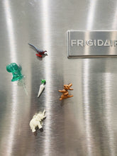 Load image into Gallery viewer, Set of 5 Random Magnets