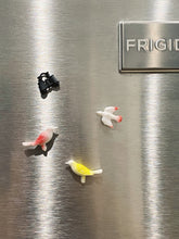 Load image into Gallery viewer, Bird Watching Magnet Set