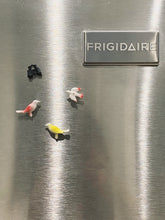 Load image into Gallery viewer, Bird Watching Magnet Set