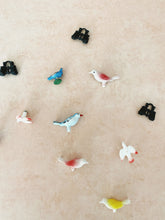 Load image into Gallery viewer, Bird Watching Magnet Set