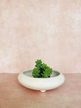 Load image into Gallery viewer, White Midcentury Modern Planter