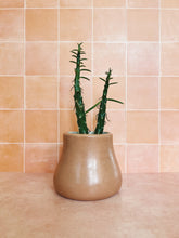 Load image into Gallery viewer, Handmade Ceramic Planter