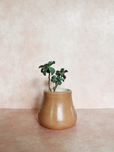 Load image into Gallery viewer, Handmade Ceramic Planter