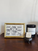 Load image into Gallery viewer, Framed Horizontal Cat Lithograph
