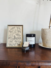 Load image into Gallery viewer, Ornate Frame Cat Lithograph
