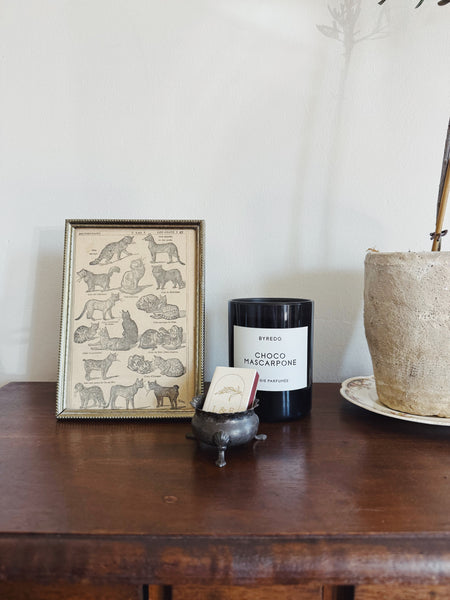 Ornate Frame Cat Lithograph