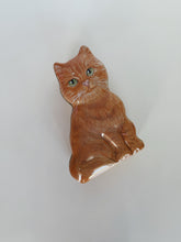 Load image into Gallery viewer, Orange Cat Tin
