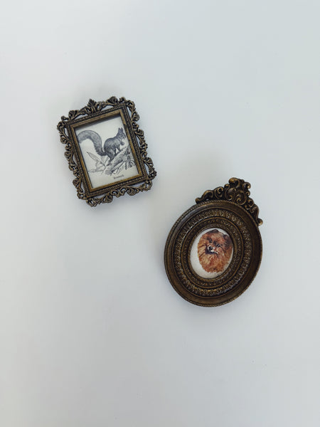 Framed Ecureuil Lithograph