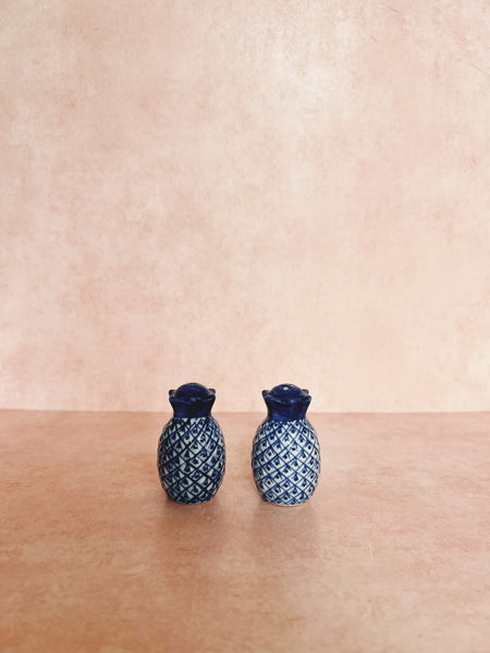Blue and White Pineapple Shaker Sets