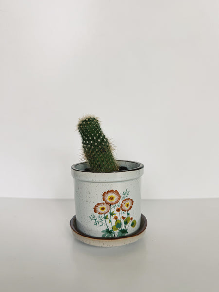 Speckled Floral Planter