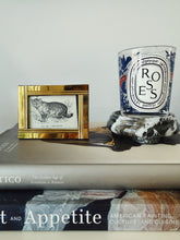 Load image into Gallery viewer, Framed Small Cat Lithograph
