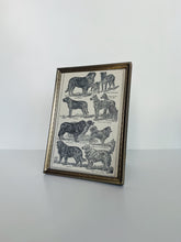 Load image into Gallery viewer, Full Page Framed Dog Lithograph
