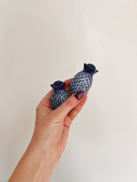 Blue and White Pineapple Shaker Sets