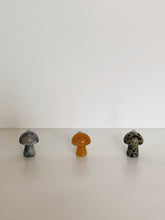 Load image into Gallery viewer, Set of 3 Mushroom Magnets
