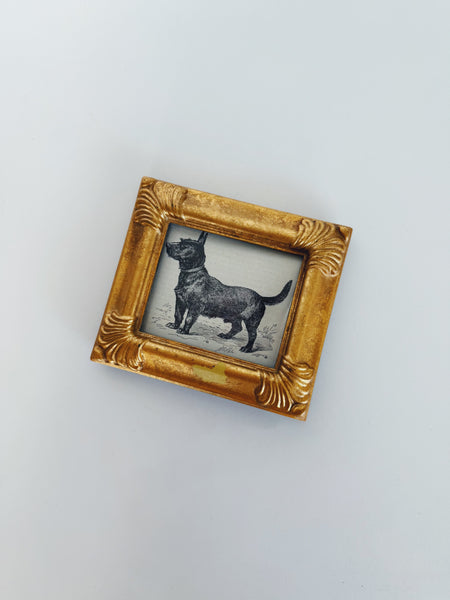 Framed Scottish Terrier Lithograph