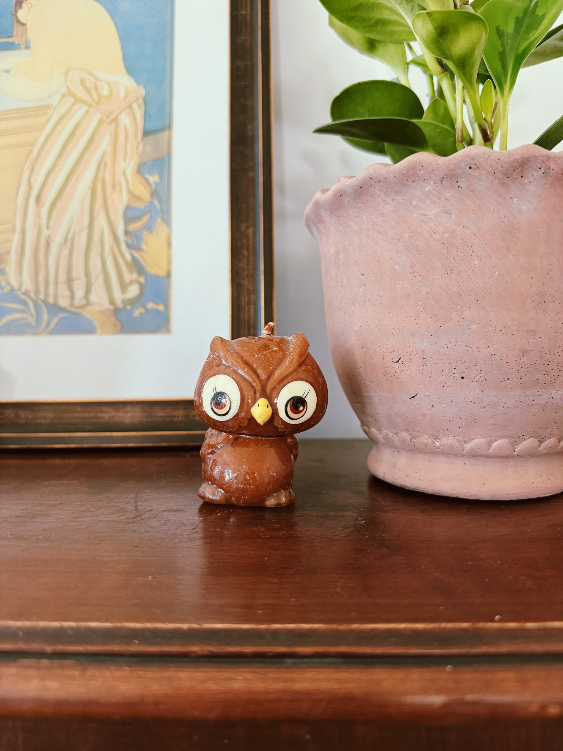 Brown Owl Candle