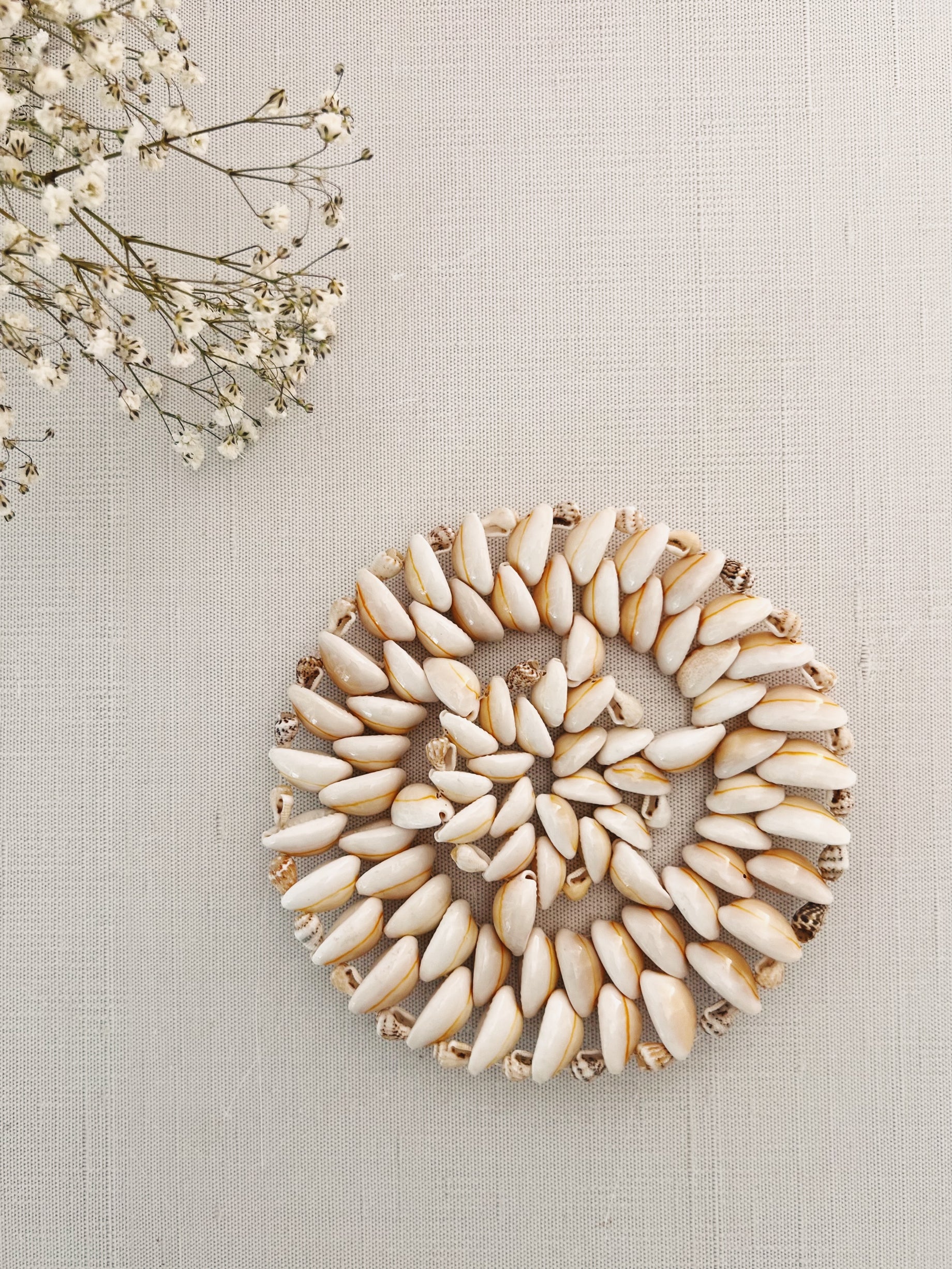 Shell Trivet