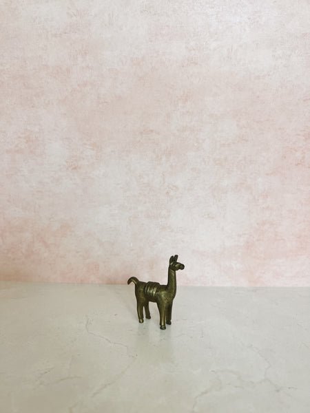 Brass Alpaca 2