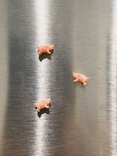 Load image into Gallery viewer, 3 Little Piggies Magnet Set
