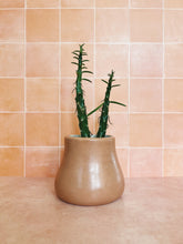 Load image into Gallery viewer, Handmade Ceramic Planter
