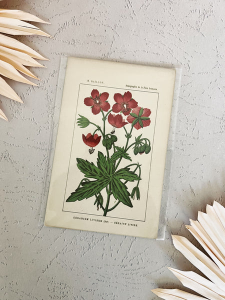 Dark Pink Flowers Print