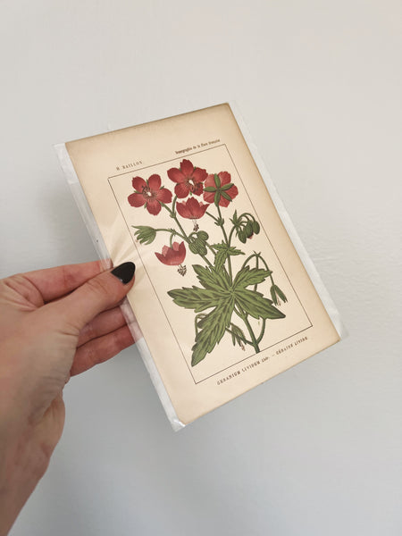 Dark Pink Flowers Print