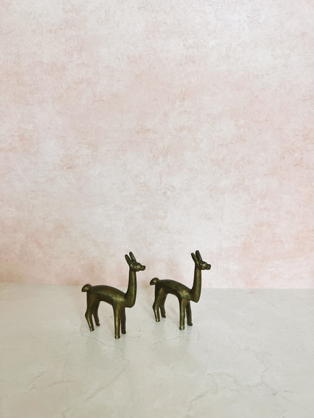 Brass Alpaca 3