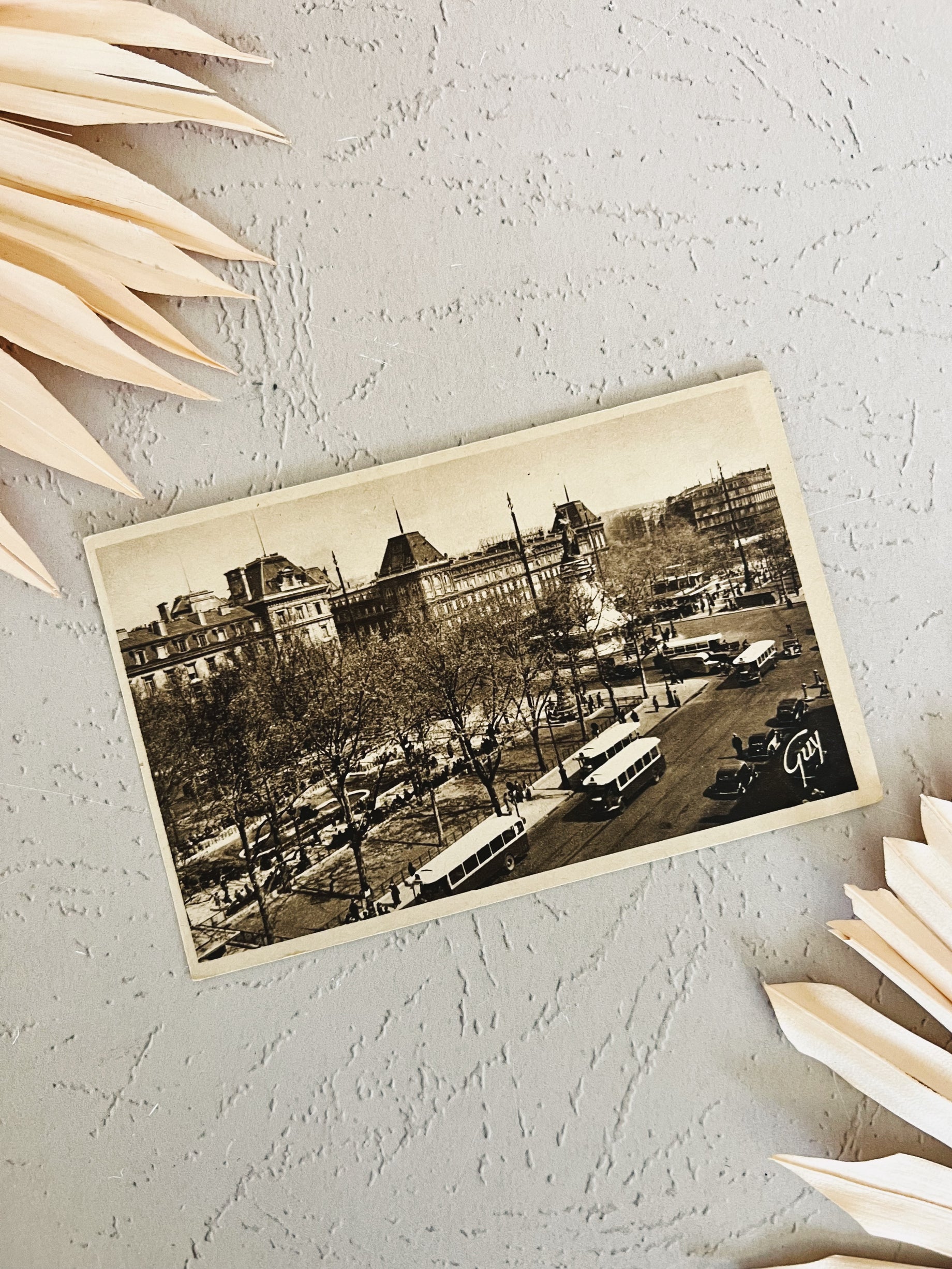 Vintage Paris Black and White Postcard